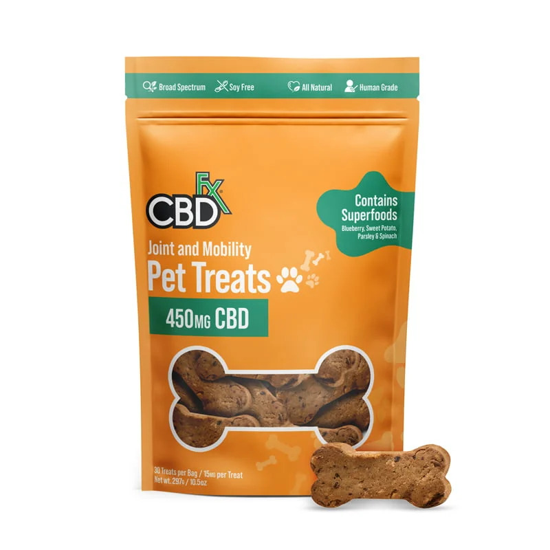 Best CBD Treat for Dog Joints and Pain