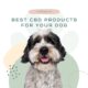 Best CBD Products for your Dog