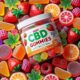 Enjoy the Ultimate Wellness with Best Vidapur CBD Gummies, the Perfect Health Companion